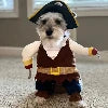 Pirate Costume