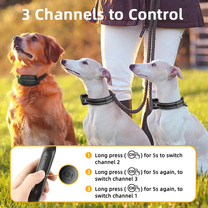 Electric Dog Training Collar