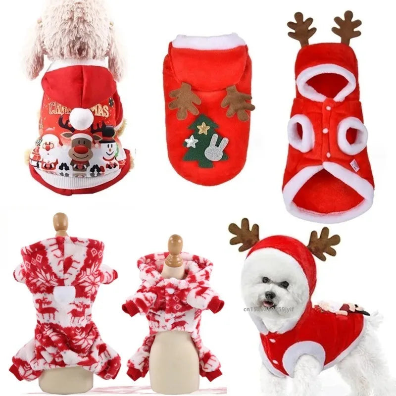 Christmas Dog Santa Costume