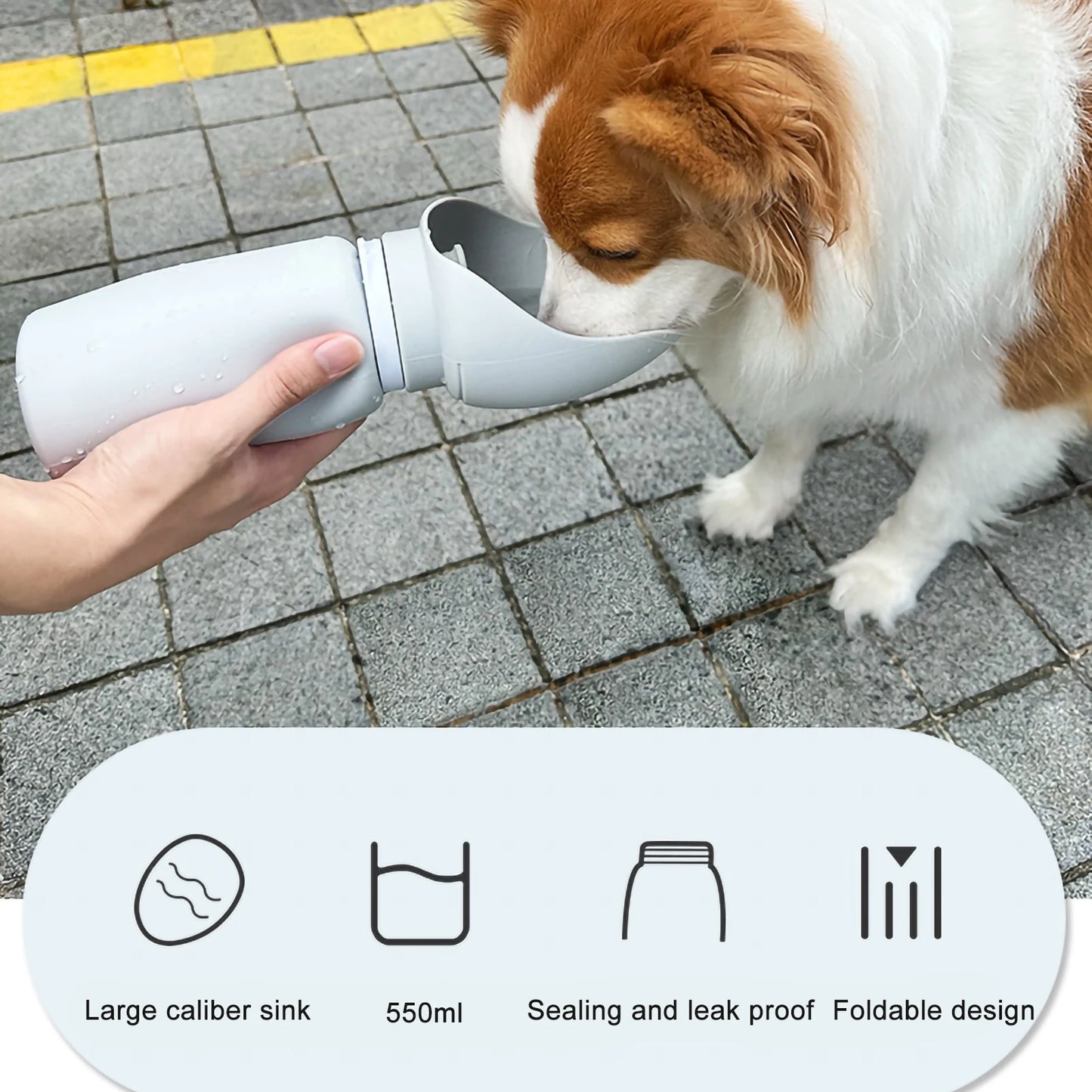 Folding Pet Water Bottle