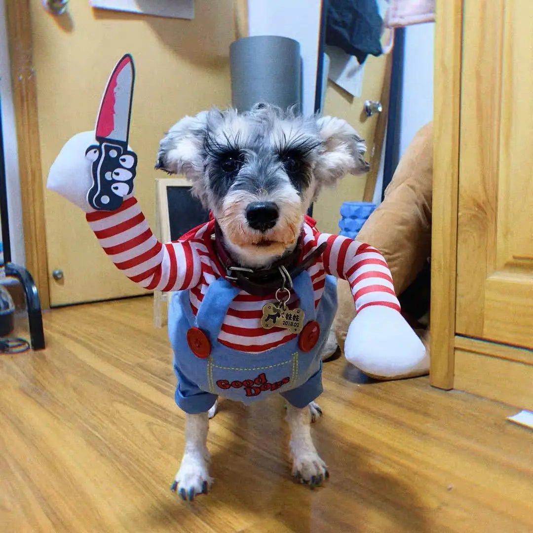 Funny Halloween Dog Costume